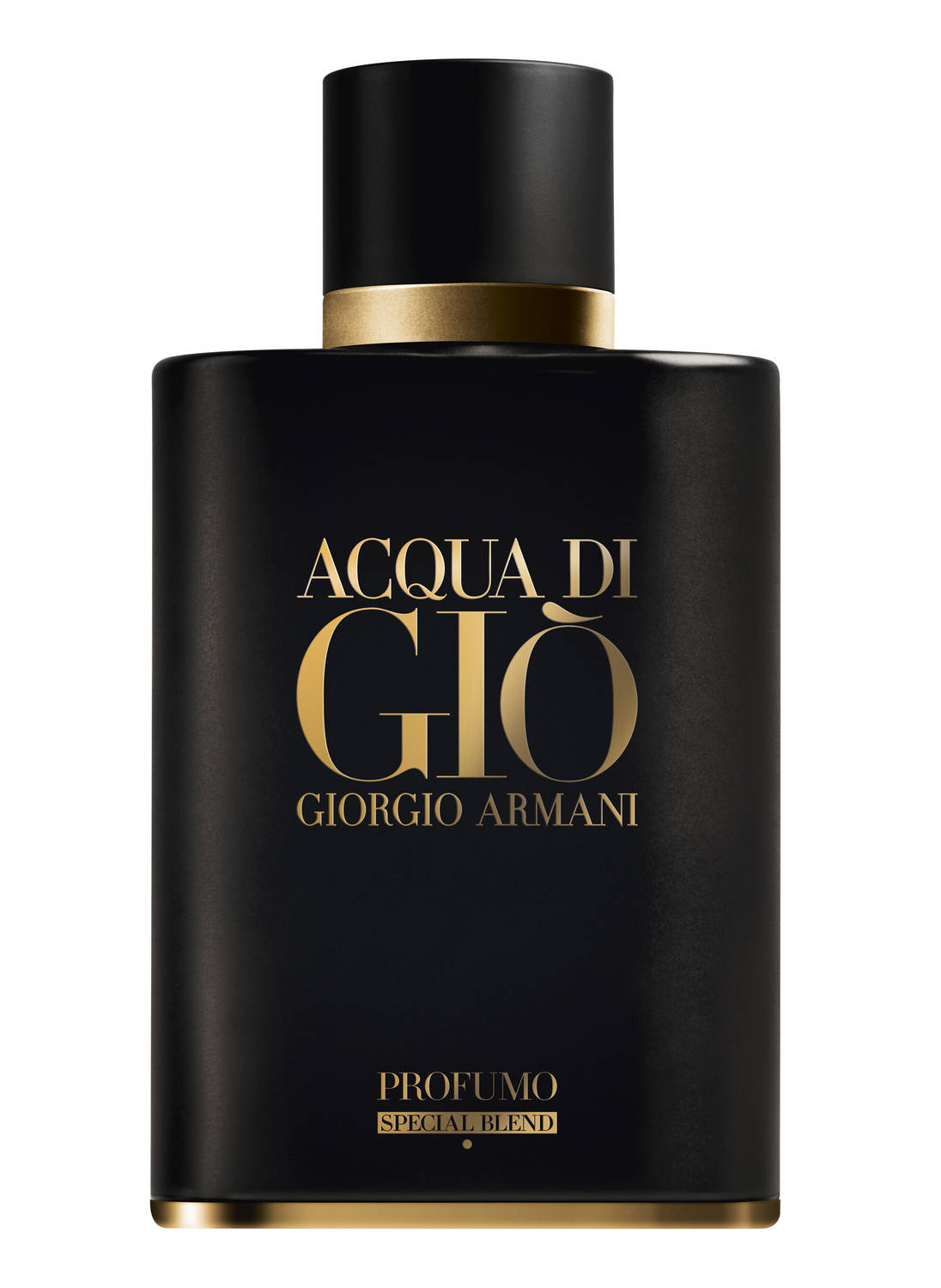 Giorgio Armani Acqua di Gio Profumo SPECIAL BLEND
