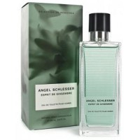 Angel Schlesser Espirit De Gingembre