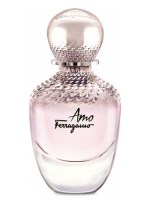 S. Ferragamo Amo