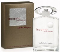 S. Ferragamo Incanto Pour Homme